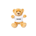 Teddybär mit Werbeanbringung